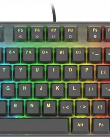Herná klávesnica Genesis Thor 300 TKL RGB