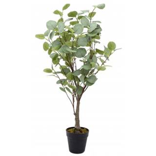 ASKO - NÁBYTOK Umelá rastlina v kvetináči Eukalyptus strom, 85 cm, značky ASKO - NÁBYTOK