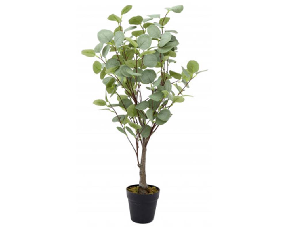 ASKO - NÁBYTOK Umelá rastlina v kvetináči Eukalyptus strom, 85 cm, značky ASKO - NÁBYTOK