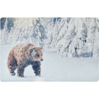 Rohožka Medveď, 38 x 58 cm