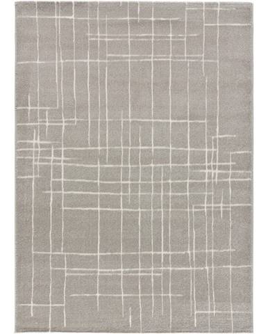 Sivý koberec Universal Sensation, 160 x 230 cm